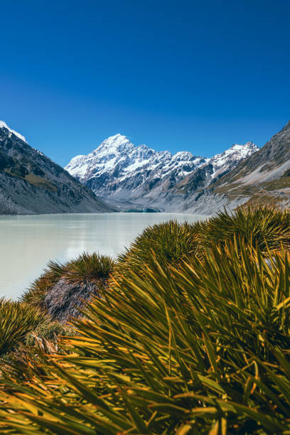 Magical landscape at Hooker Lake in front of Mt Cook in New Zealand. Behold the stunning sight of snow-capped Mount Cook, majestically framed by other towering mountain peaks.