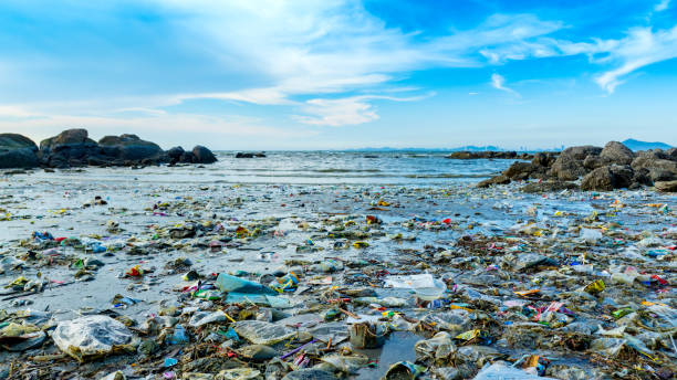 istock Trash, plastic cups and plastic bags at the beach. environmental problem concept and healing the world 2157521506