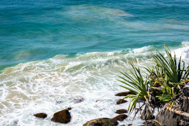 Wave breaks over rocky foreshore with Pandanus tree in sea and sky outlook at Point Danger on Gold Coast Queensland.