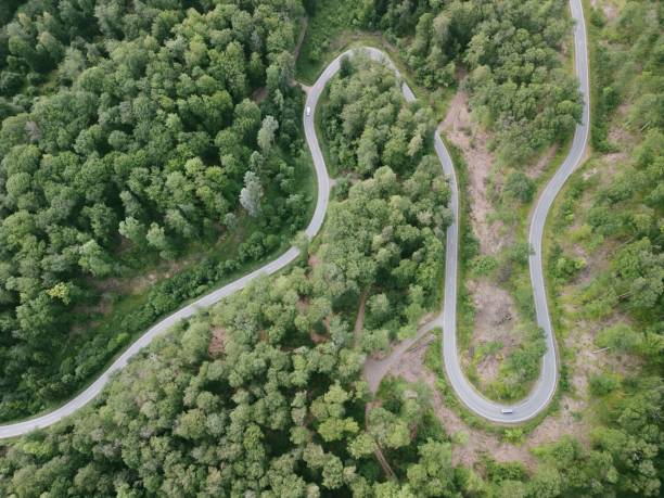 istock Aerial view of a winding road going through a green forest 2157523539