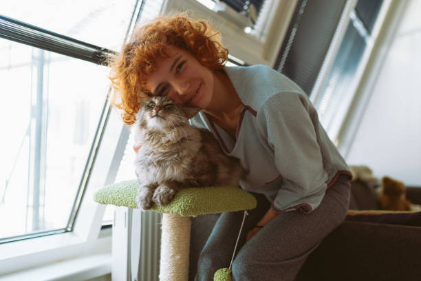 istock cat mom brushes her furry pet 2157525766
