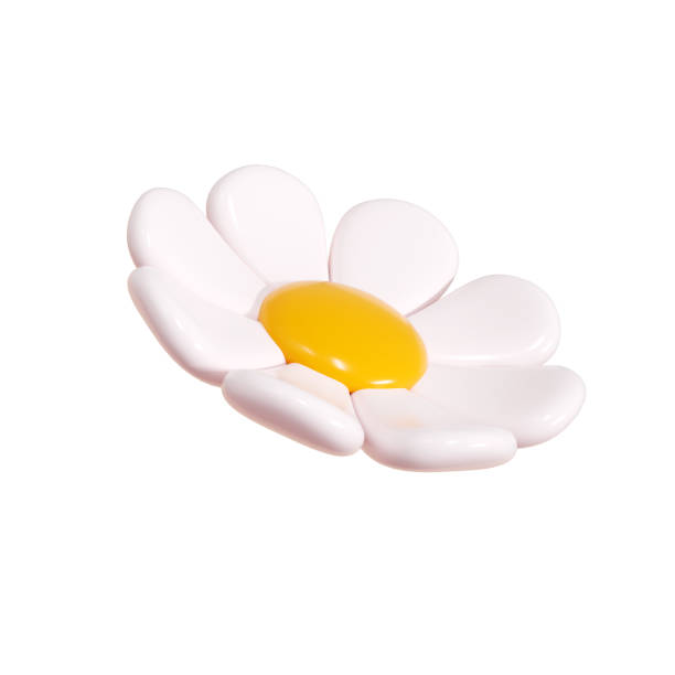 istock Daisy plastic flower cartoon icon 3d render illustration. 2157527798