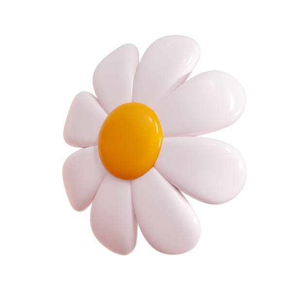 istock Daisy plastic flower cartoon icon 3d render illustration. 2157527809