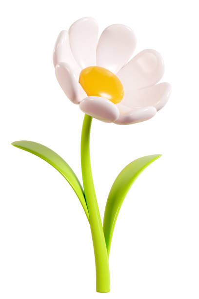 Daisy plastic flower with white petals, green stem and leaf. Cartoon icon 3d render illustration. Cute chamomile bubble bloom for spring and summer design. Glossy balloon blossom floral element.