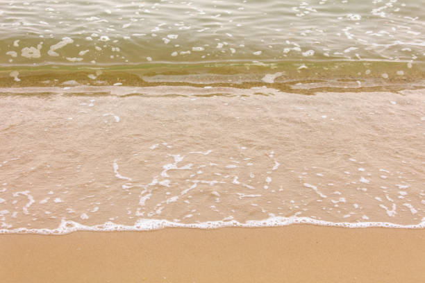 Yellow sand on the seashore as an abstract background. Texture.