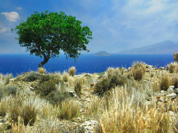 Phaselish, Kemer, Antalya Province