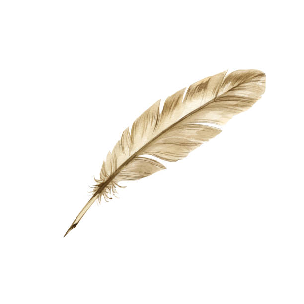 istock feather quill dip pen, watercolor illustration of historical theme, antique devices for writing, symbol of poets writers and scientists white background 2157544401