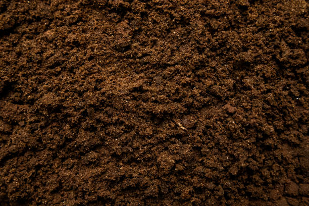Soil surface for agricultural cultivation and daily use. Ground texture concept