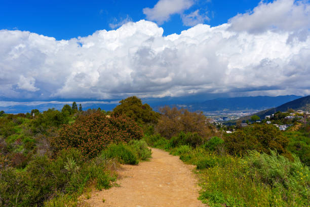 A dirt path among lush greenery in Runyon Canyon Park, with a view of thick white clouds in the blue sky.