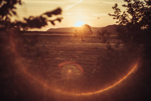 Italian countryside landscape during a summer sunset: an irrigation canal in Tuscany