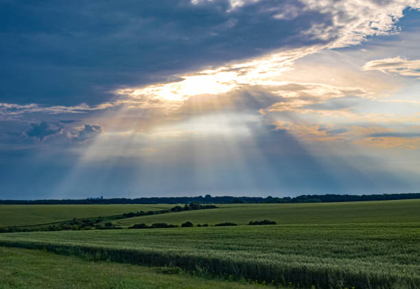 The rays of the sun through the clouds over the wheat fields