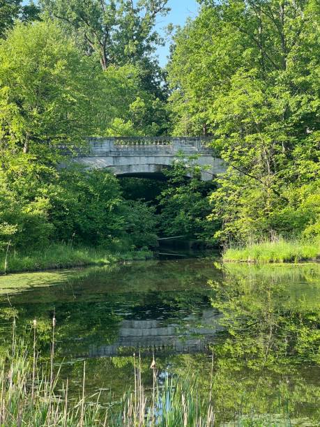 istock Stone bridge over pond in sunlight with trees as background. 2157549731