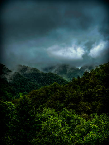 Dark green forest on the hills under a gloomy sky with heavy clouds. Nature before the storm. A ray of light faintly peeks through the clouds. Slovenia, spring.