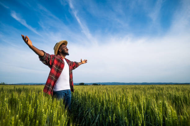 istock Farmer with arms outstretched  standing  in wheat field 2157555292