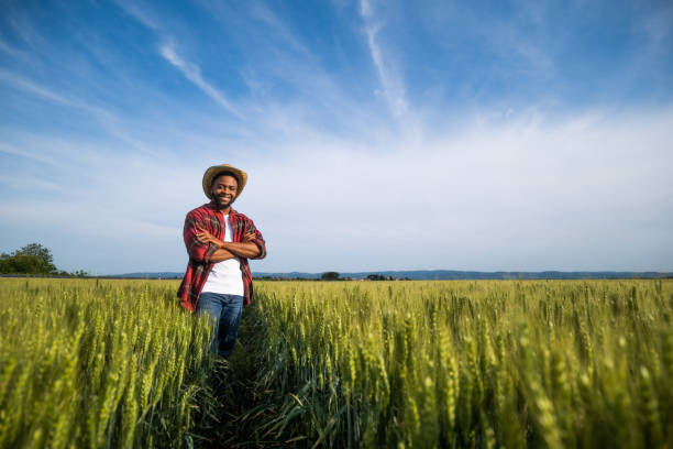 istock Farmer standing  in wheat field 2157555300