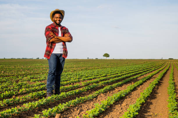 istock Farmer standing  in soybean  field 2157555401