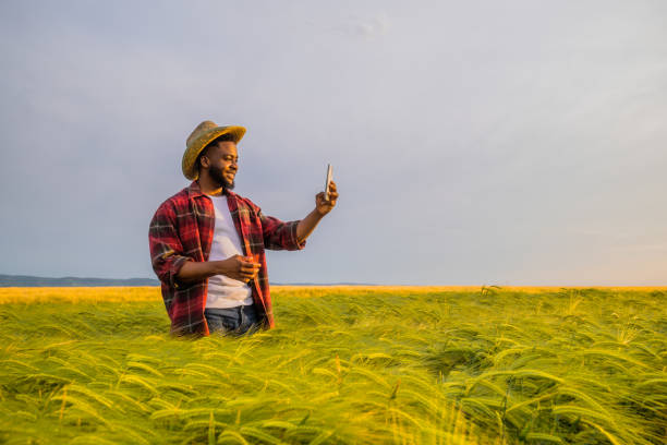 istock Farmer using mobile phone  in his growing wheat field. 2157555522
