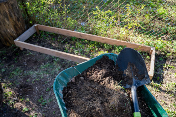 istock Wooden raised beds in home garden 2157559637