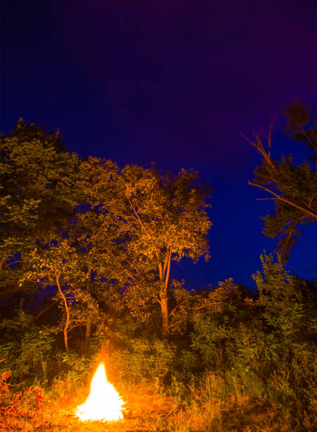 istock camp fire on forest glade at the night 2157561082