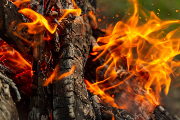 istock A blazing fire of burning logs. 2157561360
