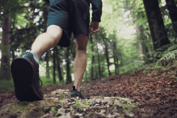 istock Running on a forest trail in autumn 2157562243