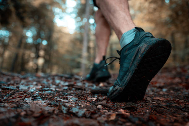 istock Running on a wet forest trail after rain 2157562300