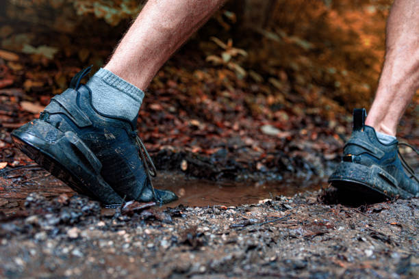 istock Cross country runner training on a trail. Wide close up. 2157563834