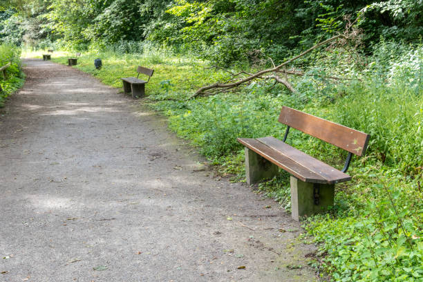 istock Bench with weeds in poorly maintained park 2157566908