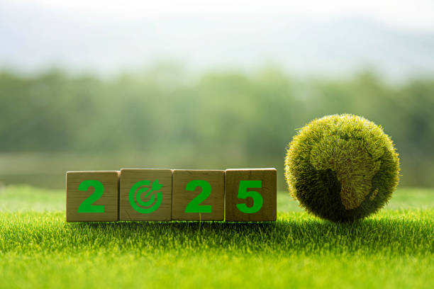 istock New Goals, Plans and Visions for Next Year 2025. Sustainable environment development goals, green business, ESG, Co2, SDGs, and NetZero Concept. World Environment Day. Save Earth. 2157567563