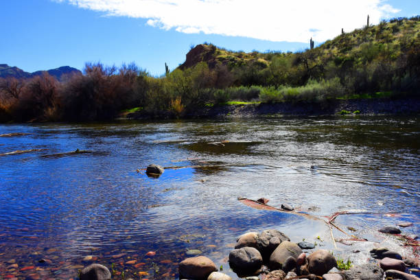 istock Salt River Recreation Area Arizona 2157568327