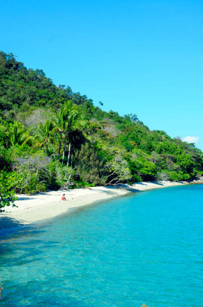 istock Fitzroy Island, Cairns, Far North Queensland, Queensland, Australia 2157568978