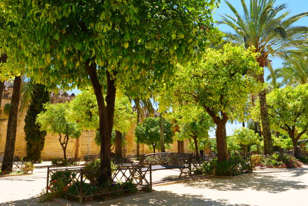 istock Hot Afternoon in Cordoba, Spain 2157570294