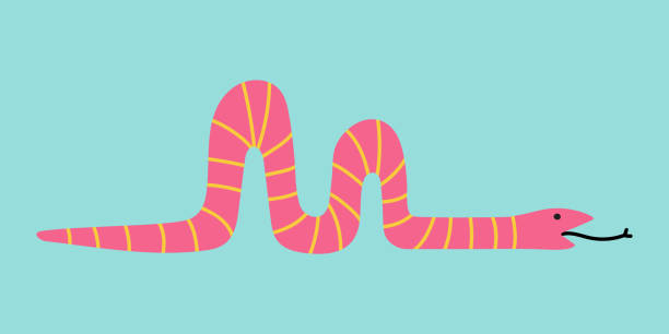 istock Cute safari animal - snake python. Funny reptile vector illustration for kids design. Animal character 2157571822