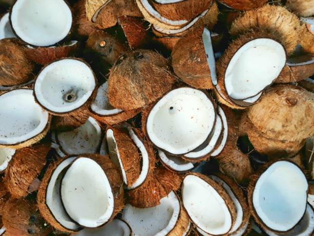 istock Coconut cracked and ready to produce 2157576379