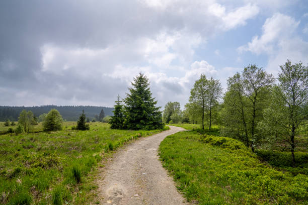 istock High Fens, Eifel, Belgium 2157577427