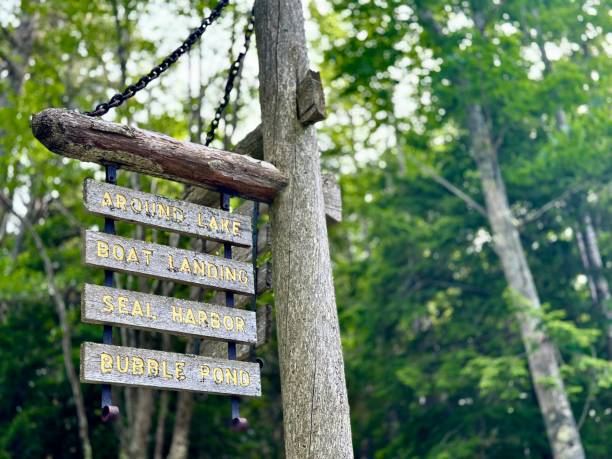 Carriage Roads, Acadia National Park