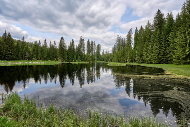 istock Mysterious landscape in the Bacarian Forest, Germany 2157582675