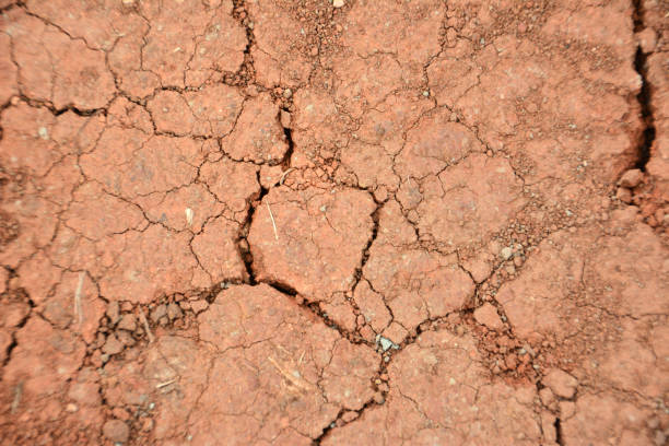 Cracked Soil on Dry Season