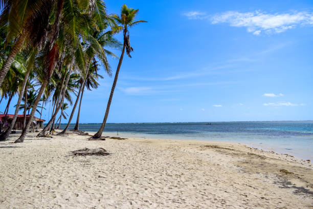istock Island in Guna Yala also known San Blas Islands 2157584509