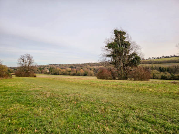 istock A serene landscape showcasing an expansive grassy field 2157587468