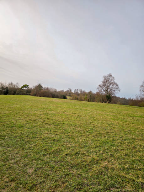 istock A serene landscape showing a wide open meadow 2157587492