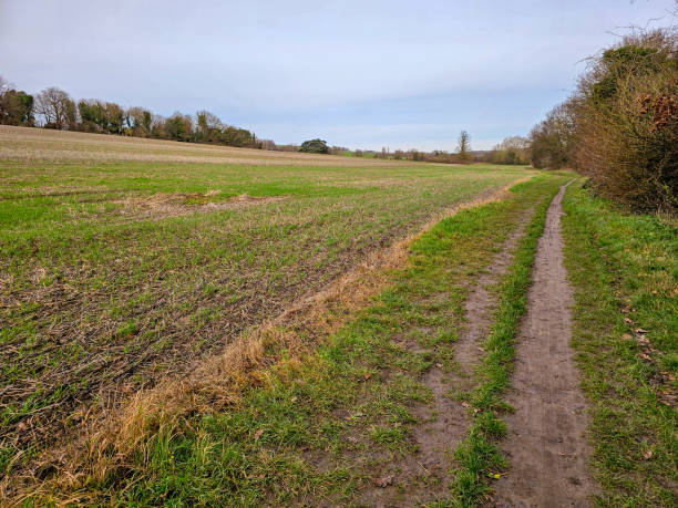 istock A peaceful walking path through an open countryside field 2157587539