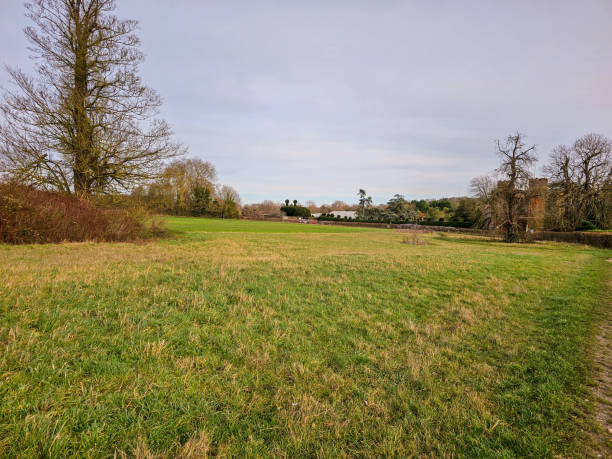 istock A peaceful landscape depicting a green meadow under a partly cloudy sky. 2157587729