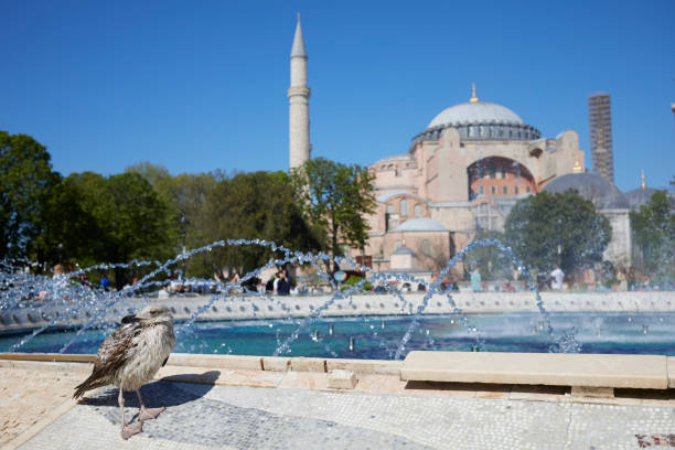 Hagia Sophia Grand Mosque (Ayasofya Camii). High quality photo
