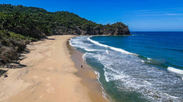 Aerial view of woman walking along empty beach