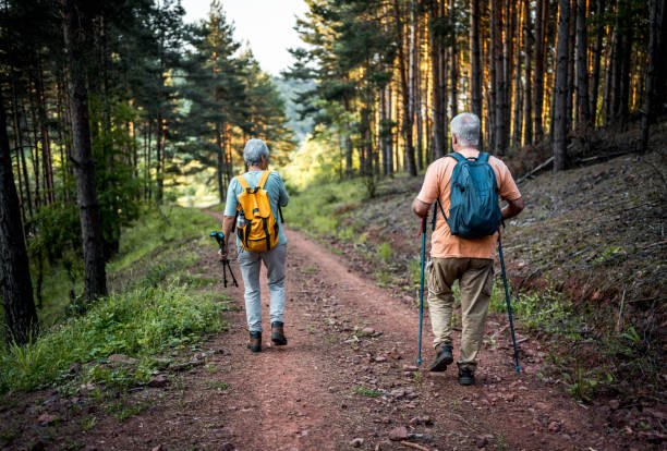 istock Senior couple of hikers exploring the woods 2157601330