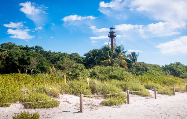 istock A sea turtle nesting site near the Sanibel Lighthouse in Florida 2157602788