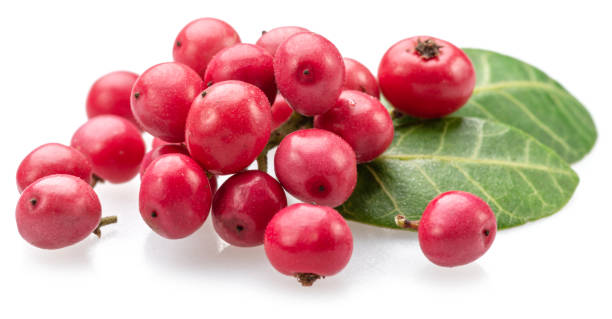 istock Fresh pink peppercorns isolated on white background. 2157603043