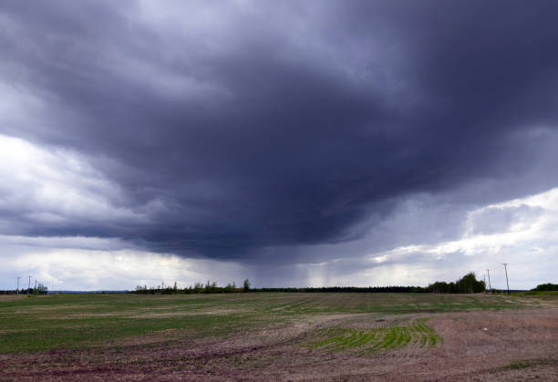 istock Rain from the dark cloud in the field in prairies in spring. 2157607791