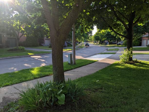 istock A Suburban Street on a sunny day 2157608433
